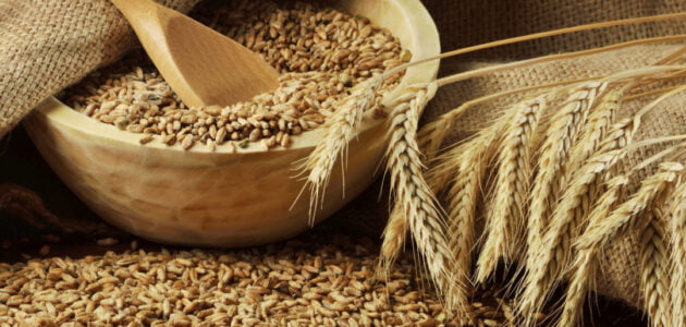 تجارة القمح الدولية واهمية تجارة القمح