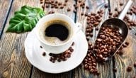 Information on Coffee Wholesalers in Egypt