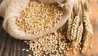 History of Wheat Trade in the World