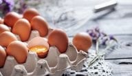 How to Start Egg Trade