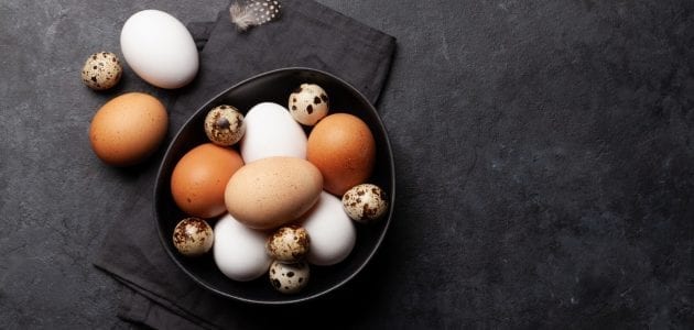 Success Factors for the Egg Trade Project