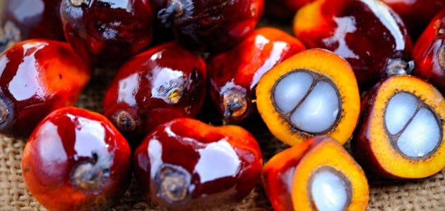Learn More About Palm Oil
