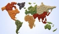How to Learn Food Trade