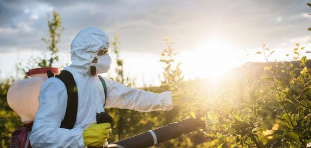 Procedures for Licensing a Pesticide Store