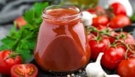 How to Start a Tomato Ketchup Production Project