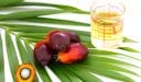 Sources of Palm Oil