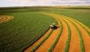 ماذا تنتج روسيا من محاصيل زراعية المحاصيل الزراعية في روسيا