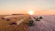 ما هي أشهر المحاصيل الأوكرانية الصناعية والزرعية