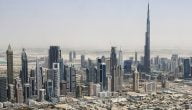 كيفية اختيار مشروع صناعي مربح في الإمارات