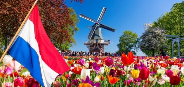 أفكار مشاريع مربحة في هولندا
