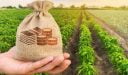 أفضل الدول للاستثمار الزراعي