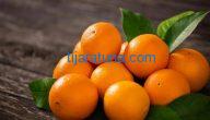 زراعة البرتقال في السعودية