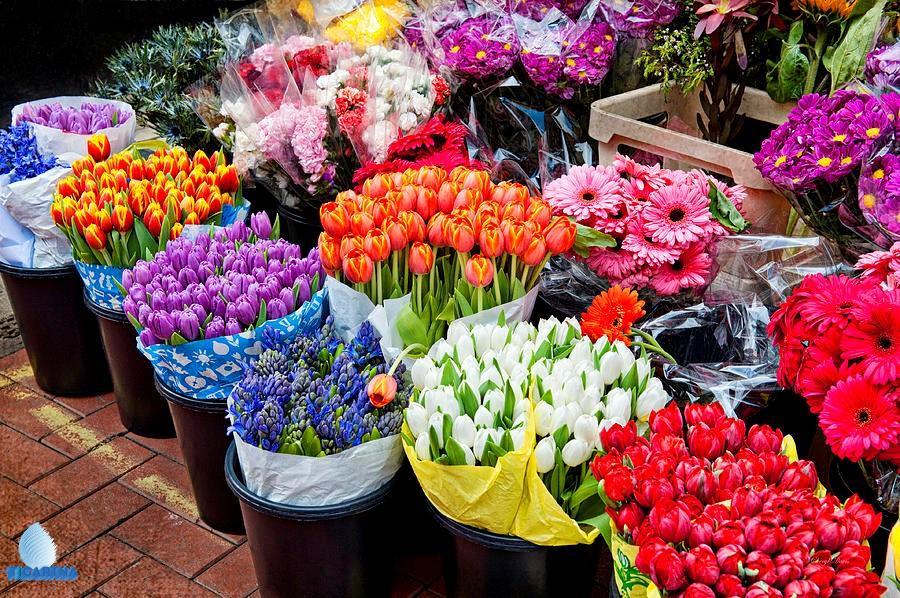 محل لبيع الزهور يبيع باقات صغيره واخرى كبيره