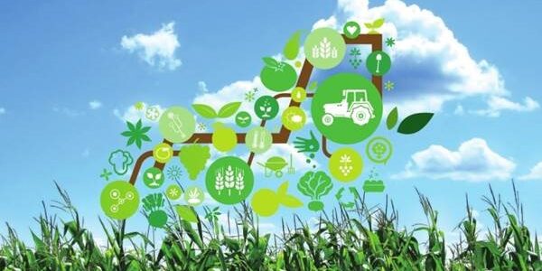 ما هي سلبيات التكنولوجيا في الزراعة