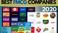 معلومات عن شركات FMCG في مصر