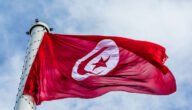 أنواع الشركات التجارية في القانون تونس