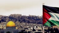 التصدير من فلسطين الإجراءات و الوثائق المطلوبة