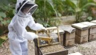 الوسائل المستعملة في تربية النحل