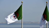 حماية علامة تجارية أو منتج في الجزائر