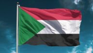 أنواع الشركات في السودان الأشكال القانونية للشركات في السودان