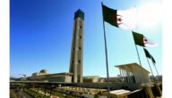 أنواع الشركات في الجزائر الاشكال القانونية للشركات في الجزائر