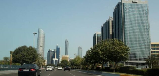 ما هي اكبر الشركات العائلية في الإمارات
