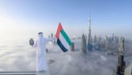 أفضل المنتجات الإماراتية للتصدير لعام 2022