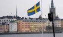 فرص عمل للناطقين بالعربية في السويد بدون وسطاء