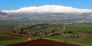 جدول الزراعي لأهم المزروعات في لبنان