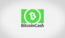 مشروع عملة Bitcoin Cash/BCH الرقمية