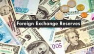 احتياطي النقد الأجنبي Foreign Exchange Reserve تعريف المفهوم مع الأمثلة
