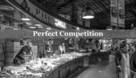 المنافسة المثالية Perfect Competition التعريف المفهوم الأمثلة