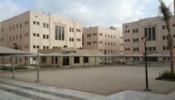 تخصصات كلية الاقتصاد والادارة جامعة الملك عبد العزيز 1444