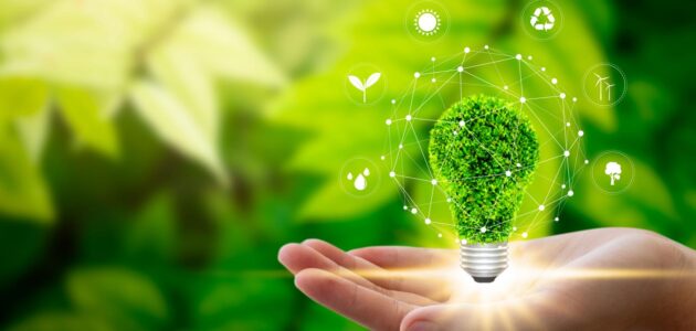 دور التسويق الأخضر في تحقيق التنمية المستدامة